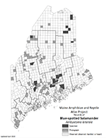 Blue-spotted Salamander distribution map (PDF)